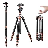 K&F Concept 152cm Carbon Stativ, Leichtes Tripod, Flexibles...