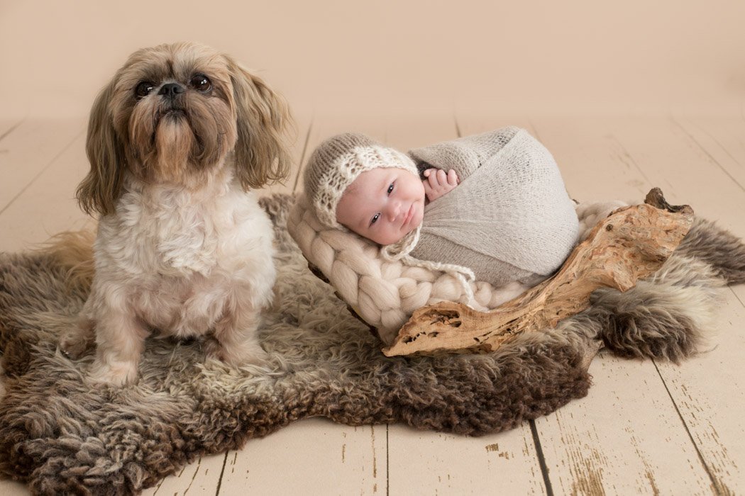 baby fotoshooting baby shooting professionelle babyfotos