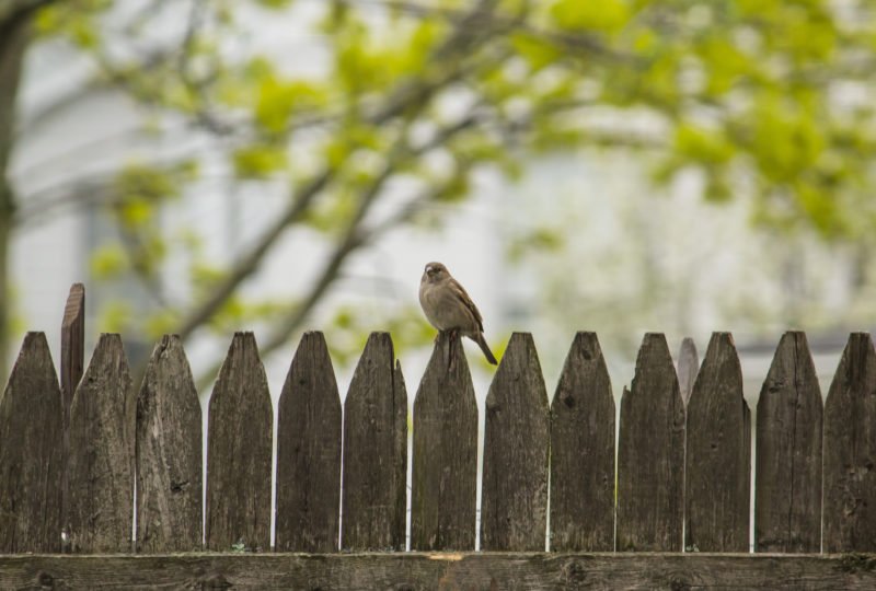 Gleichgewicht Links Rechts