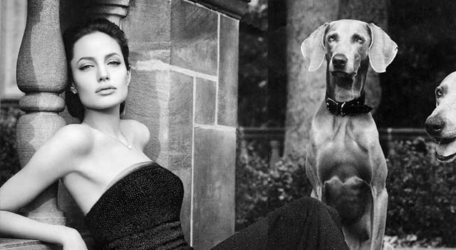 beruehmte fotografen annie leibovitz jolie