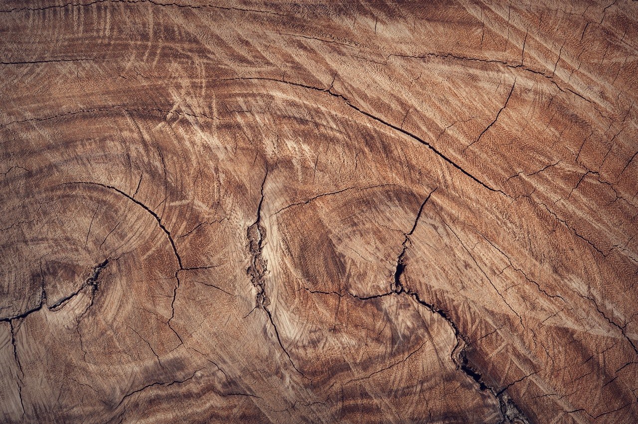 Holzmaserung eines Baumstammes