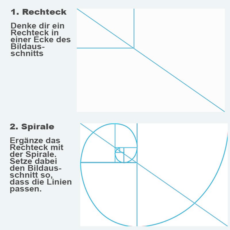 Fibonacci Spirale anwenden