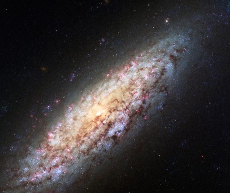 Einsame Galaxie NGC 6503