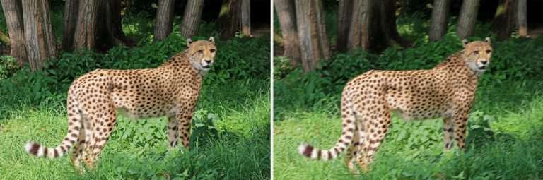 Freihandgrenze Bewegung vs Verwacklung