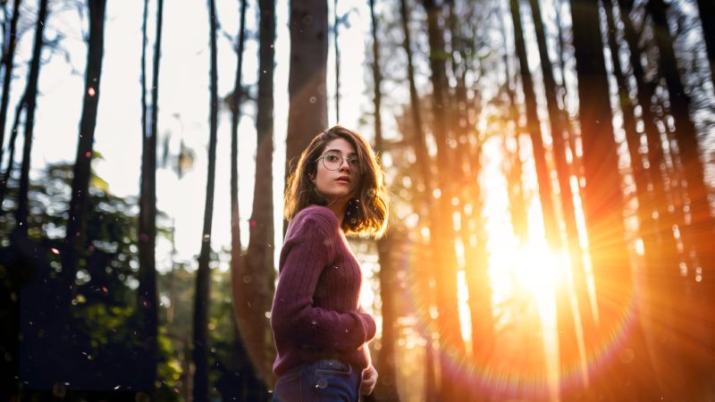 Gegen die Sonne fotografieren im Wald mit Lens Flare