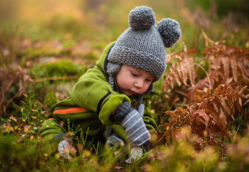 hintergrund unscharf machen baby im wald