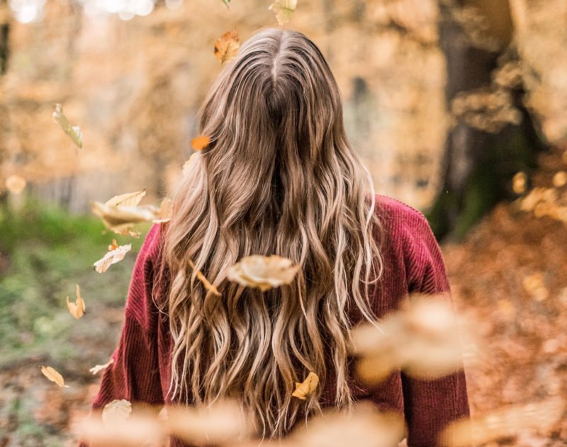 hintergrund unscharf machen frau im sweater im wald im herbst