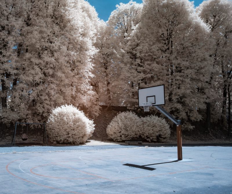 IR-Fotografie Bäume