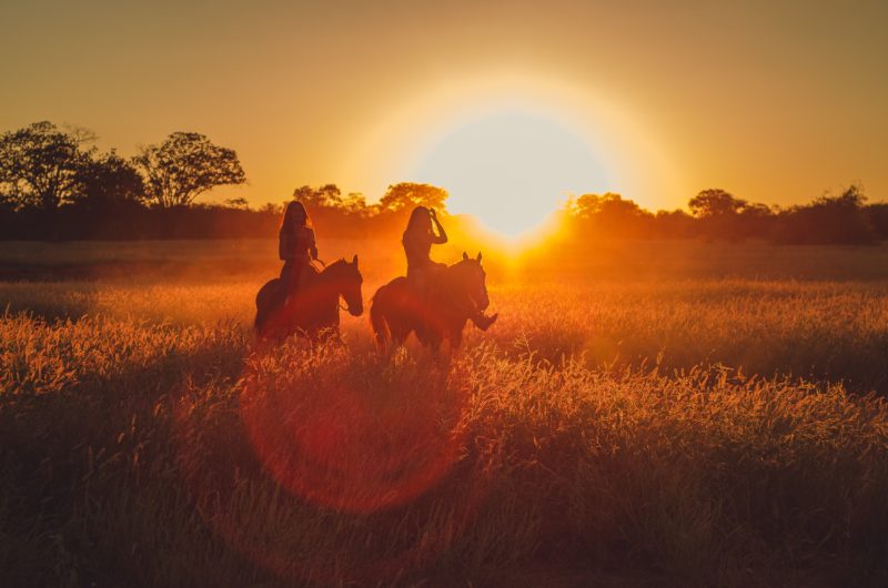 lens-flare-atmosphere