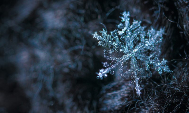 makroobjektiv schneeflocke