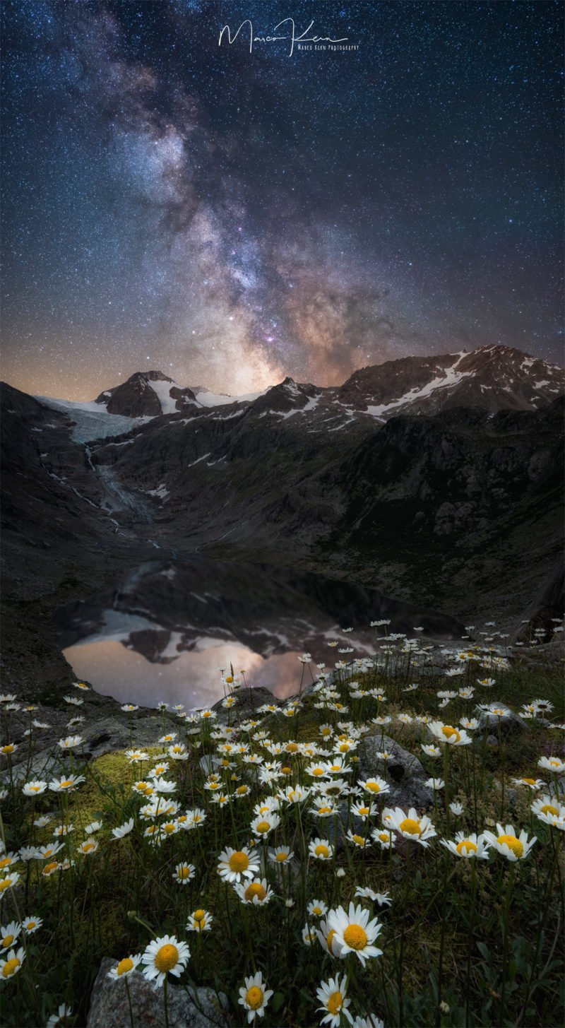 berglandschaft und nachthimmel mit blumen im vordergrund