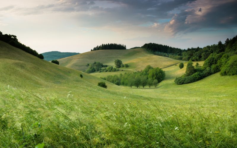 Minimalismus Fotografie Wiese Landschaft