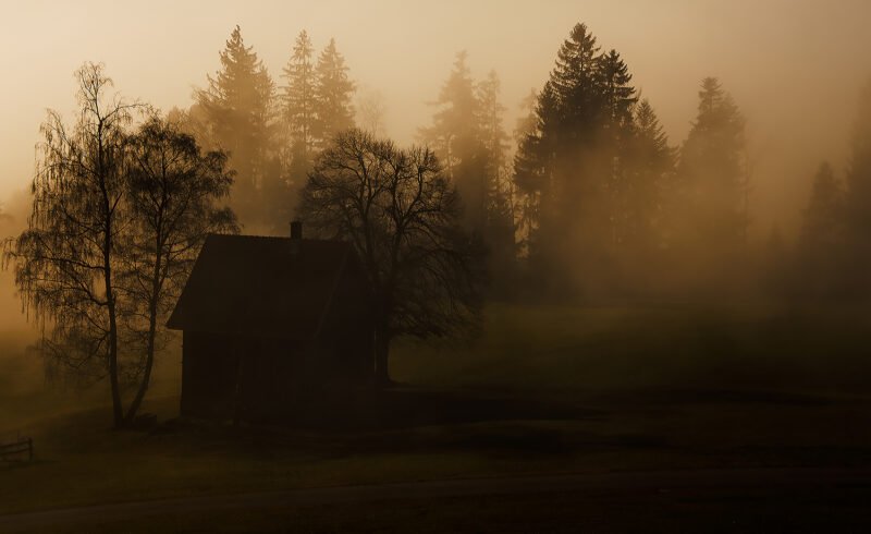 haus am waldrand in nebel und dunkelheit gehuellt