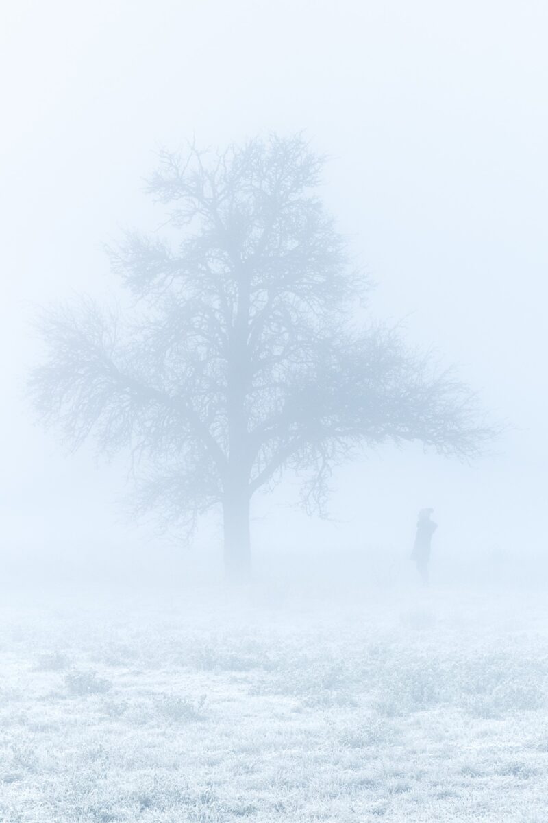 Naturfotos schlechtes Wetter neblige Landschaft