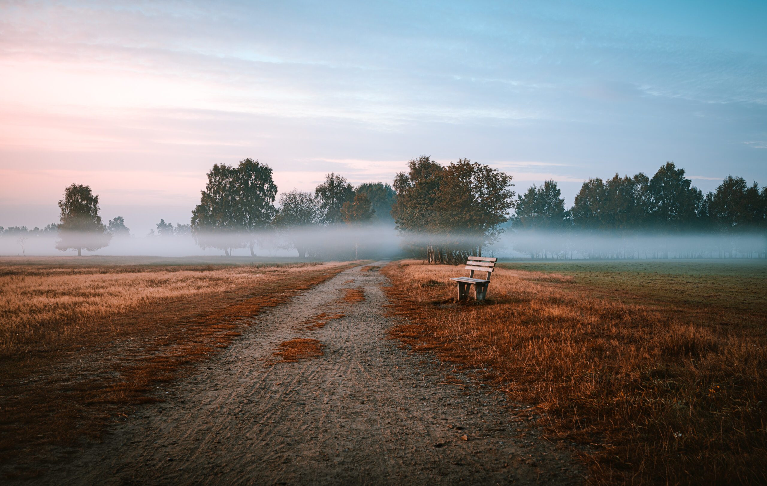 Nebel fotografieren Anleitung Nebelfotos