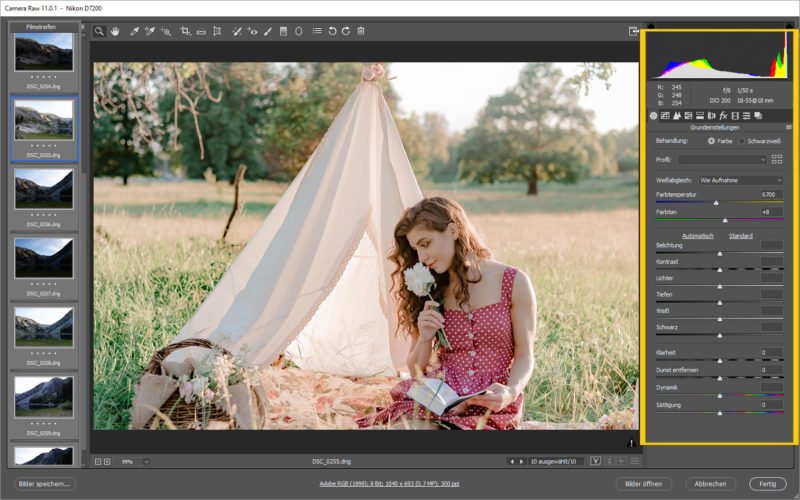 Adobe Camera Raw Plugin