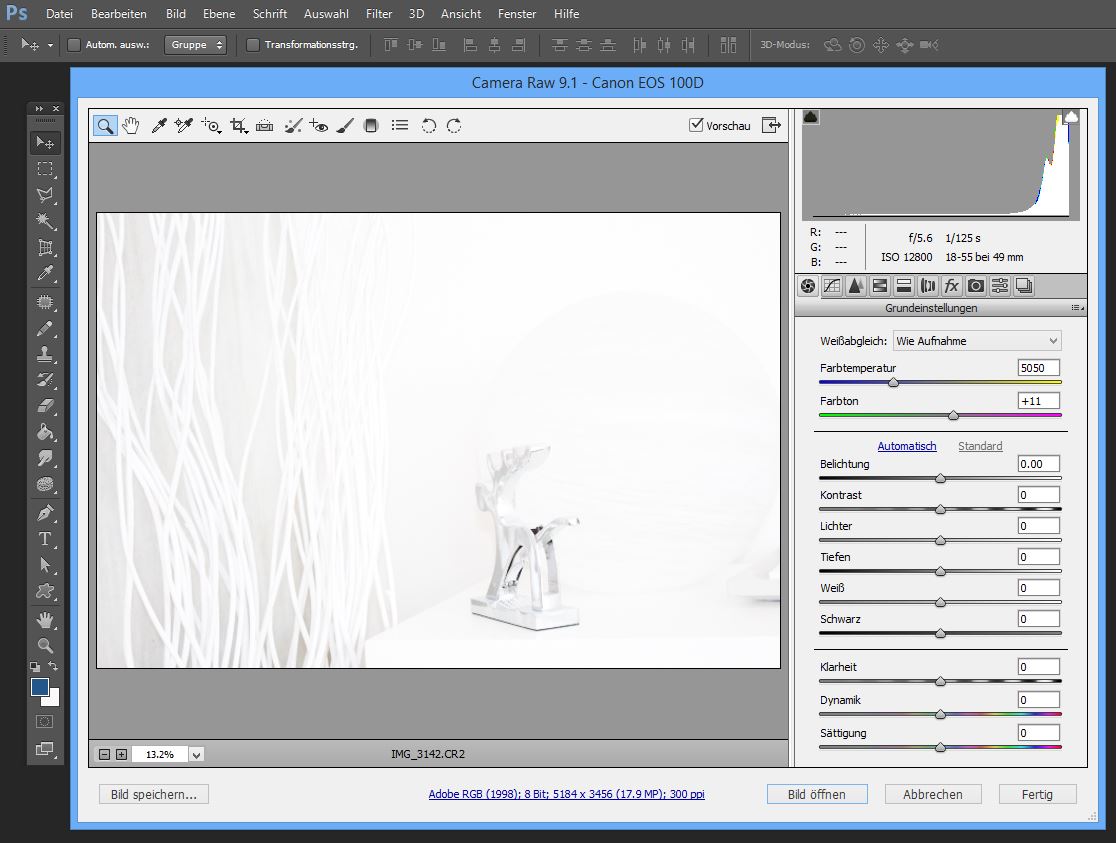 RAW entwickeln Photoshop