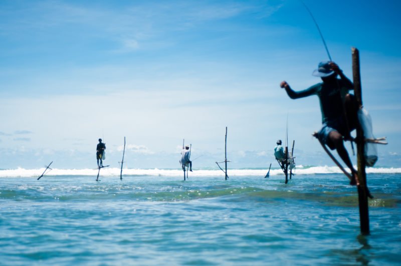 Reisefotografie Fischer am Stock in Sri Lanka