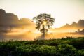 sonnenaufgang fotografieren morgendämmerung