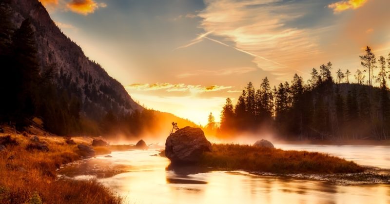 sonnenaufgang fotografieren morgendämmerung im wald