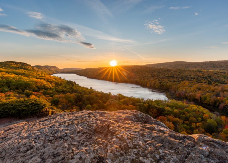 sonnensterne fotografieren sonnenstern im wald