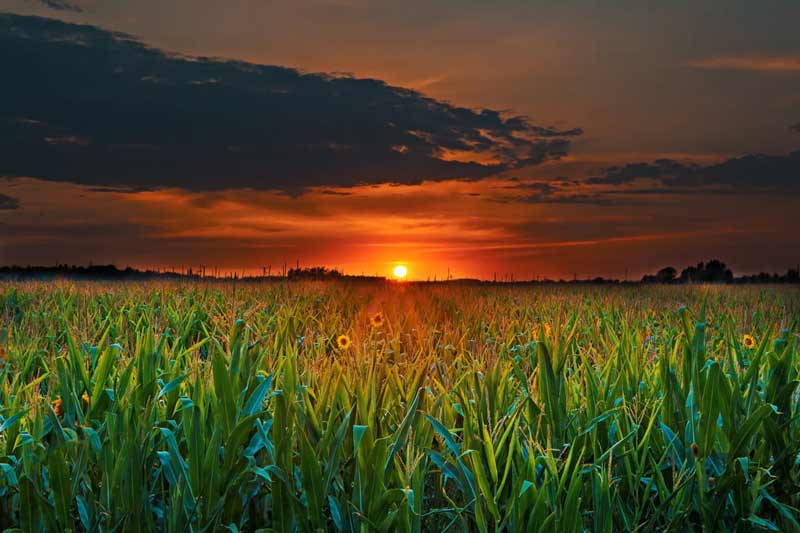 sonnenuntergang fotografieren hdr