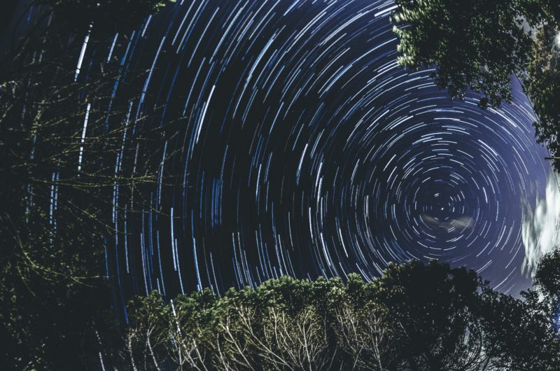 startrails in der dunkelheit zwischen bäumen