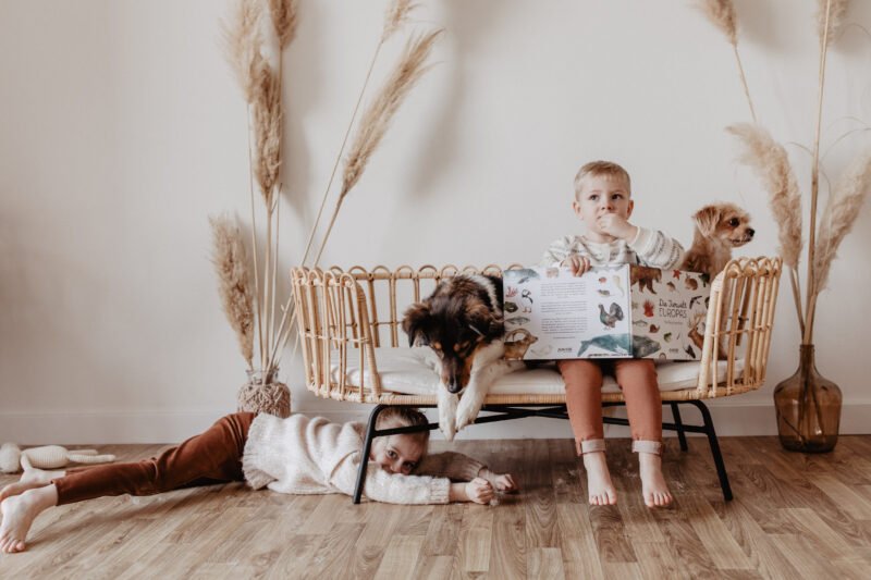 kinder spielen auf sitzbank mit den hunden