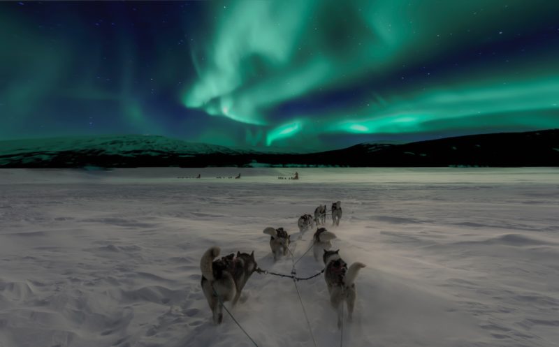 Polarlichter fotografieren Hundeschlitten