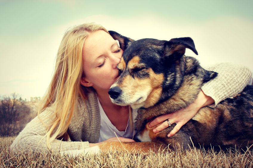 tierfotografie tier fotoshooting hund mit halter